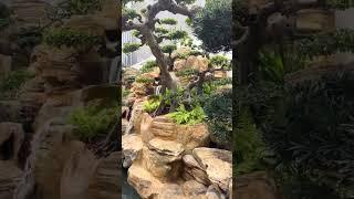 TOP 1 THÁC NƯỚC ĐẸP NHẤT #landscape #nhadep #cakoi #garden