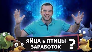 Выпуск #5 Golden Birds | Заработок на яйцах лохотрон