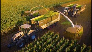 Mais 2020 : MAISERNTE AM LIMIT / LU Stotz / 10 x Claas / Maishäckseln XXL / Claas Jaguar 980 & 960