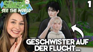 Eine neue Geschichte beginnt  - Die Sims 4 See The World Part 1 | simfinity