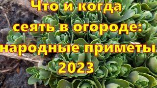 Что и когда сеять в огороде 2023!  Народные приметы для сада и огорода.