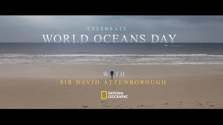 World Oceans Day | National Geographic