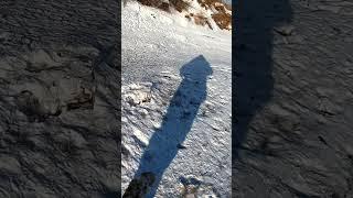 Что случилось с козликом? Хабаровск Дальний Восток река Амур  #рыбалка #яспиннингист