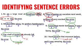 Identifying Sentence Errors