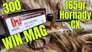.300 Winchester Magnum 165gr Hornady Superformance CX Review