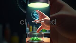 How a Moldy Sandwich Changed Medicine Forever
