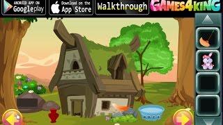 G4K Rescue Tiger Escape walkthrough Games4King.