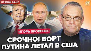 ️ЯКОВЕНКО: Экстренно! Встреча Трампа и Путина сорвалась за ЧАС ДО:в РФ озвучили дату остановки огня