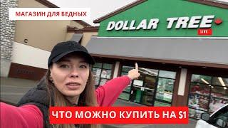 МАГАЗИН ДЛЯ БЕДНЫХ В КАНАДЕ. ЧТО МОЖНО КУПИТЬ НА $1