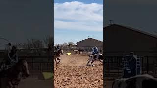 Yes sir TJ!! #teamroping #horse #fast