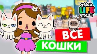 СОБИРАЮ ВСЕХ КОШЕК в Тока Бока  Toca Life world