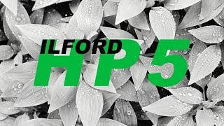 Ilford HP5 | Home Developing With Paterson Black and White Film Processing Starter Kit