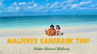 Maldives 2021 | Maafushi Island | Day Excursion | Sandbank Trip