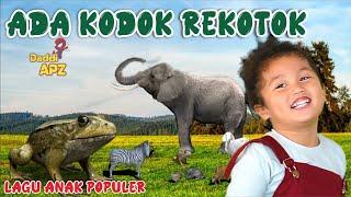 Lagu Anak Populer | Ada Kodok Rekotok Hits Sepanjang Masa