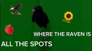 ALL THE SPOTS WHERE THE RAVEN IS in animal life Roblox (only the spots I know)