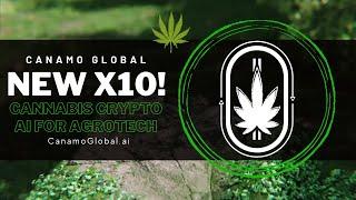   New x10 Crypto ! Canamo Global (CANN) $CANN