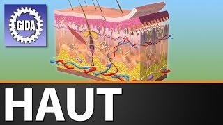 Trailer - Haut - Biologie - Schulfilm