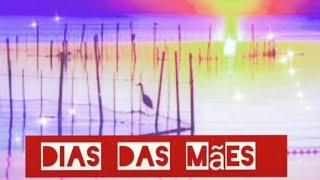 Dia das mães - Alexandre ADC3 - homenagem as mães #diadasmães #mae #maesguerreiras #maes