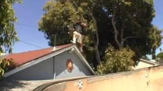 Go Skateboarding - Shane Allen