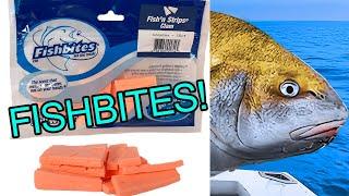 Never Rebait!! Is This The BEST Fishing Bait For Beginners & Experts