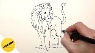 Как Нарисовать Льва поэтапно - How to draw a Lion easy - Рисуем животных