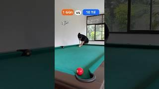 1 Gün vs 10 Yıldır Bilardo Oynamak