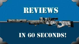 Reviews in 60 Seconds: L96A1 Arctic Wolf