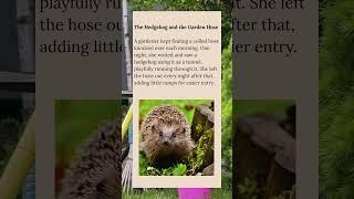 The Hedgehog and The Garden Hose #wholesome #animals