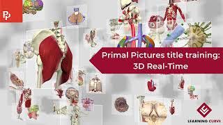 Primal Pictures title training: 3D Real-Time