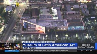 Look at This! The Museum of Latin American Art