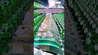 Eco-Cycle Revival: The High-Tech Beer Bottle Cleaning Process