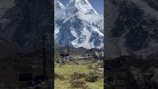 #kanchenjunga #mountainYaks #noncopyrightedmusic #travel #heaven #trekking #lkanews