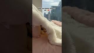 I meow back ️