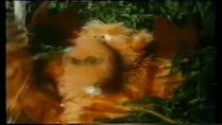 TOR Line TV Advert (Bill Oddie and Graeme Garden), early 1980's