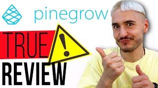 DON'T USE PINEGROW Before Watch THIS VIDEO! Website Builder Review