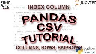 Pandas Read CSV Tutorial: skiprows, usecols, missing data + more