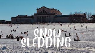 Snow Sledding @ Art Hill, Forest Park