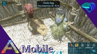 HOW TO HATCH DINO EGGS! BREEDING, TAMING, TIPS! Ark: Mobile Beginner's Guide Episode 3