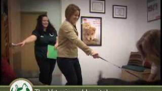 The Veterinary Hospital - AAHA Accredited