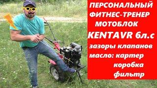 ПЕРВЫЙ ПУСК / МОТОБЛОК Кентавр МБ 2060Д / масла зазоры клапанов