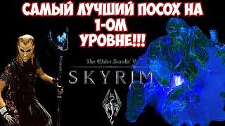 ЛУЧШИЙ ПОСОХ НА 1-ОМ УРОВНЕ!!! (Skyrim)