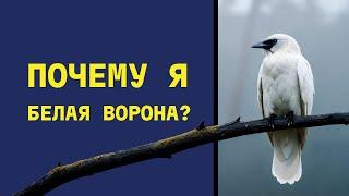 Схема социальной исключенности. Почему я везде чувствую себя изгоем