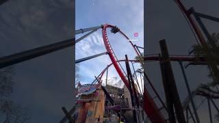 WHOA!  Today is #NationalRollerCoasterDay  #shorts #yoitubeshorts
