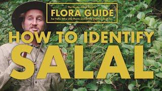 Salal - How to Identify It!  || Nerdy About Nature Flora Guide