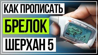 Как Прописать Брелок Шерхан 5. Брелок Scher-Khan Magicar 5 программирование.