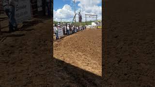 #atta'ventures #steer #riding and #mutton #bustin #atta #attaboy #attagirl #attaway #rodeo