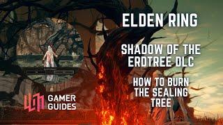 How to Burn the Sealing Tree and Unlock Enir-Ilim - Shadow of the Erdtree DLC #eldenring