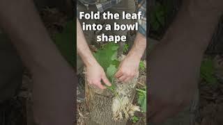 Foraging Basket Made from Burdock Leaves! #survival