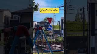City of silence #solotravel #travel #luxuryonabudget #love #hiddengems #shortvideo #japan #venus