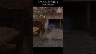 Бюрер колдует против РПГ #stalker2  #stalker2heartofchornobyl